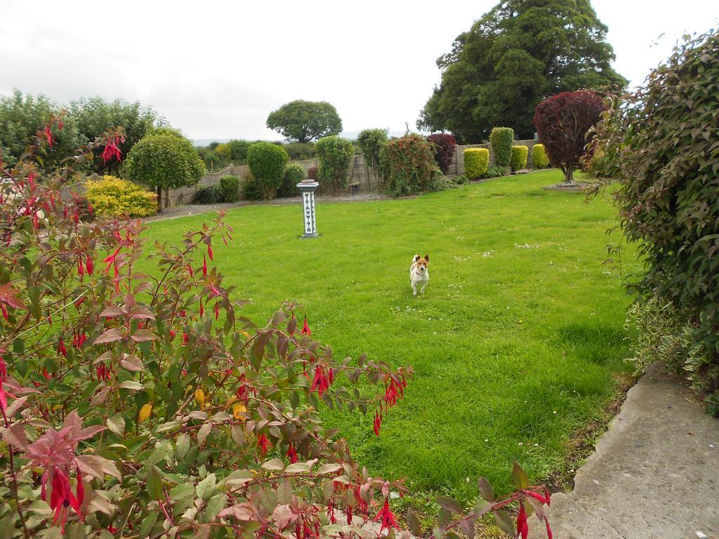 Castlehaven Vila Donaghmore  Exterior foto